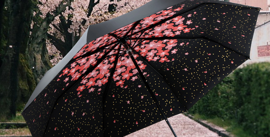 樱花伞